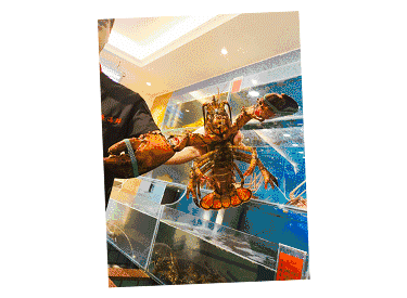 【時代儒商】膠東碼頭海鮮城淮揚菜、魯菜、海鮮超多美味！滿足您的味蕾~~