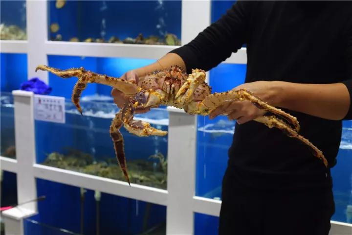 【時代儒商】膠東碼頭海鮮城淮揚菜、魯菜、海鮮超多美味！滿足您的味蕾~~